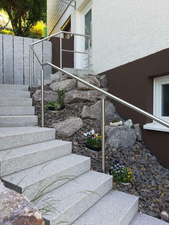Ferienwohnung Viktoria Lenzkirch Extérieur photo