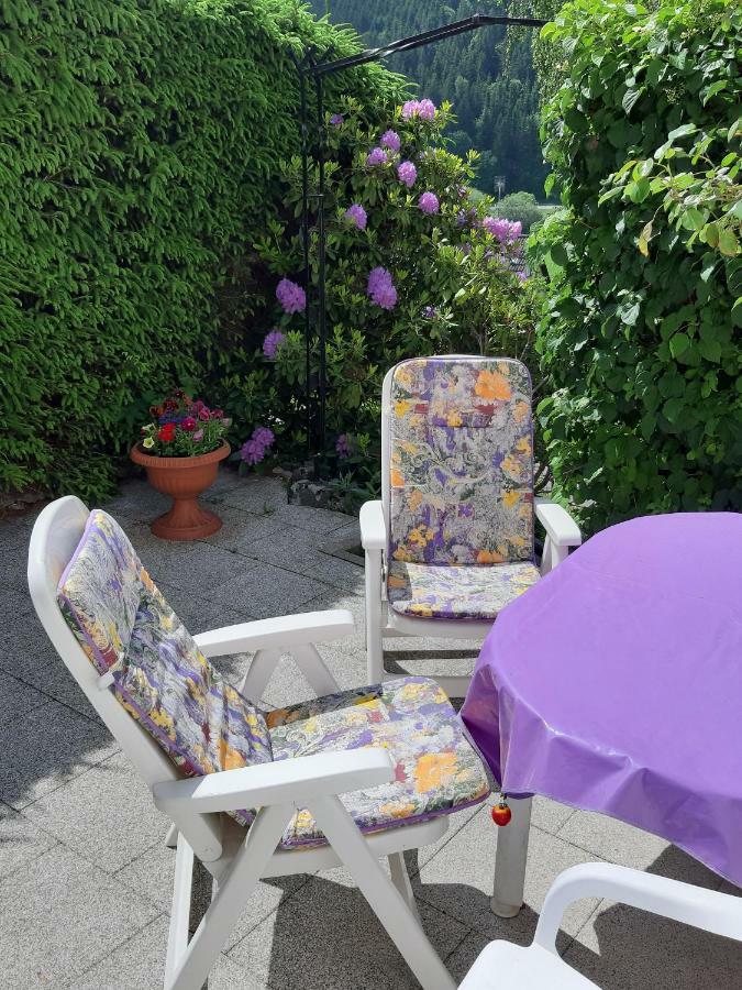 Ferienwohnung Viktoria Lenzkirch Extérieur photo